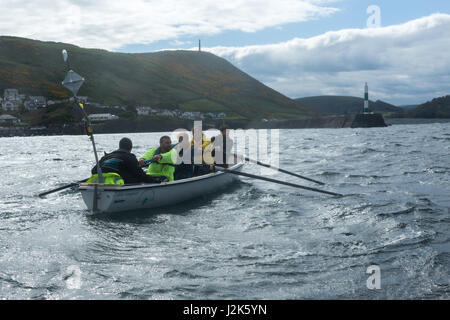 Mer d'Irlande, Royaume-Uni. 29 avril 2017 L'équipe d'aviron de Aberystwyth mens en compétition dans l'ensemble du défi celtique 2017 mer d'Irlande, qui a commencé à Arklow en Irlande avec la ligne d'arrivée à l'entrée du port d'Aberystwyth au Pays de Galles. Les équipes ont ramé environ 96 milles dans la nuit sur la mer d'Irlande. Chaque équipe est composée de 12 rameurs, à tour de rôle par groupes de quatre, tandis qu'une ligne à l'appui de la nervure (voile) et les transfère à d'un yacht d'accompagnement. © Ian Jones/Alamy Live News Banque D'Images