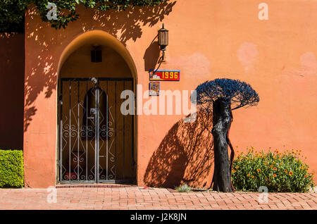 Las Cruces, États-Unis - 27 juillet 2015 : arbre décoratif bleu par Adobe maison au Nouveau Mexique Banque D'Images