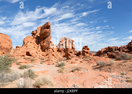 Formations de grès rouge dans le parc national de la Vallée de Feu, Nevada, USA. Banque D'Images