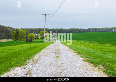 Paysage de terres agricoles luxuriantes autour de sud du comté de York en Pennsylvanie Banque D'Images