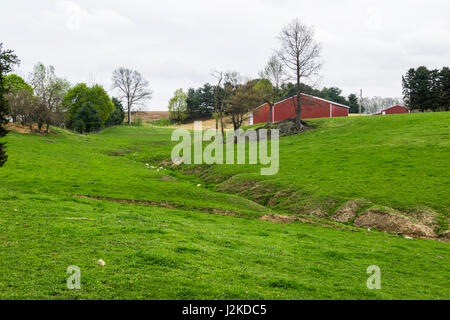 Paysage de terres agricoles luxuriantes autour de sud du comté de York en Pennsylvanie Banque D'Images