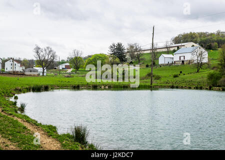 Paysage de terres agricoles luxuriantes autour de sud du comté de York en Pennsylvanie Banque D'Images