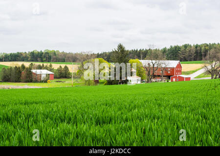 Paysage de terres agricoles luxuriantes autour de sud du comté de York en Pennsylvanie Banque D'Images