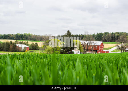 Paysage de terres agricoles luxuriantes autour de sud du comté de York en Pennsylvanie Banque D'Images