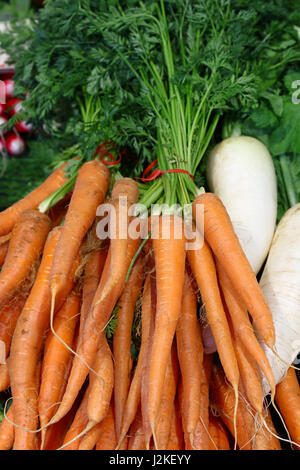 Des tas de nouveaux frais carottes orange vert printemps avec feuilles de tête sur le marché de détail Affichage blocage, Close up, high angle view Banque D'Images