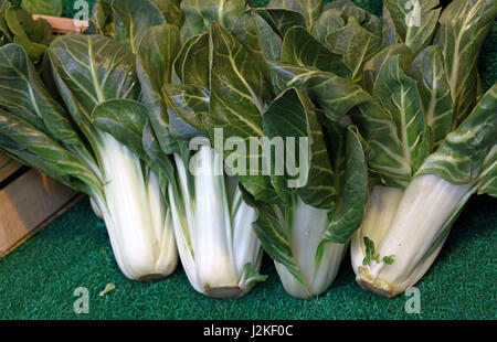 Frais vert Le Bok choy ou pak choi (Brassica rapa chinensis) feuilles de chou chinois sur le marché de détail Affichage, Close up, high angle view Banque D'Images