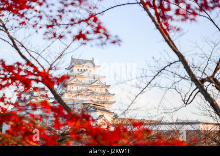 Château de Himeji, aussi appelé château du héron blanc, en automne, au Japon. Banque D'Images