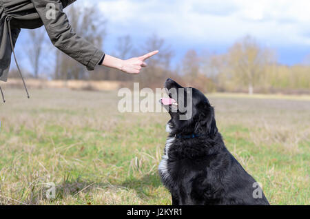 Jeune femme lui faisant signe d'obéissance de chien noir avec son doigt pour elle pour s'asseoir ou de rester, près de sa main et la tête des animaux Banque D'Images