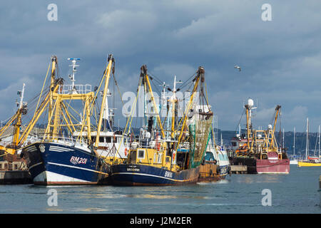 Les bateaux de pêche amarrés dans le port de Brixham, Devon, UK Banque D'Images