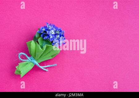 Un bouquet de violettes sur fond rose Banque D'Images