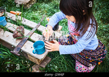 3 ans, fille d'empotage/plantation fleurs à un allotissement britannique. Banque D'Images