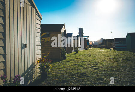 Laverstoke Park Farm, Overton, Basingstoke, Hampshire, Royaume-Uni. 26 août 2016. Le shed Club à Radio 2 breakfast show DJ, Chris Evans Location Fest 2016 - Location du Sud, de l'alimentation, de la famille et de la musique pour enfants de la BBC dans le besoin. © Vous Bailey / Alamy Banque D'Images