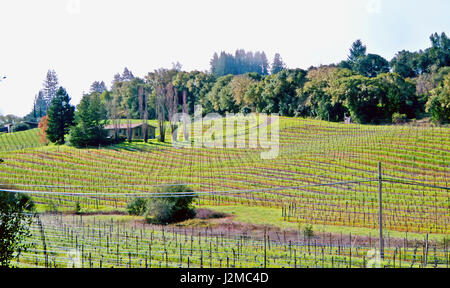 Voir d'anderson valley wineries Banque D'Images