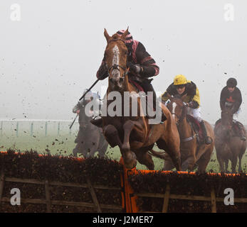 Au Horserace Haydock Park Racecourse. Les chevaux en compétition pour les clôtures. Banque D'Images