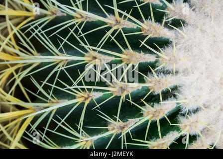 Close-up of bateau à quille de détails, un fond naturel vert. Banque D'Images