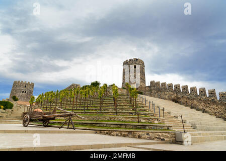 Rabati Château complexe dans Akhaltsikhe, Géorgie Banque D'Images