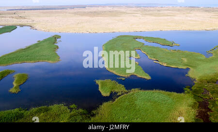 Vue aérienne de la zone humide de Veliko blato sur l'île de Pag, Croatie Banque D'Images