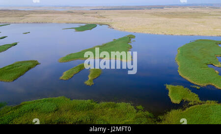 Vue aérienne de la zone humide de Veliko blato sur l'île de Pag, Croatie Banque D'Images