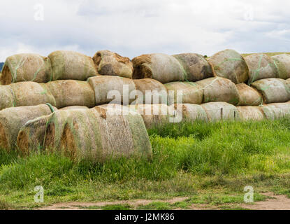 Des bottes de paille et Scott sont entassés dans une ferme de la prairie, au pied des montagnes Rocheuses de l'Est, l'ouest de Colorado Springs, C Banque D'Images