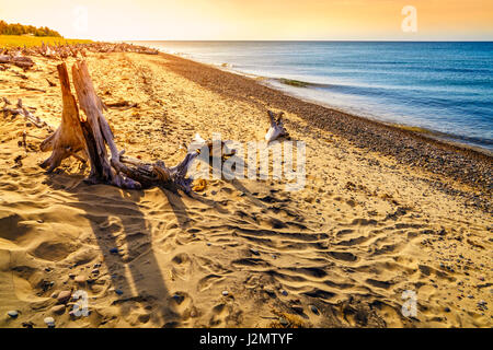 Plage sur le lac Supérieur en Whitefish Point, Michigan, Upper Peninsula Banque D'Images