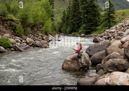 Femme de mouche au Colorado un jour d'été Banque D'Images