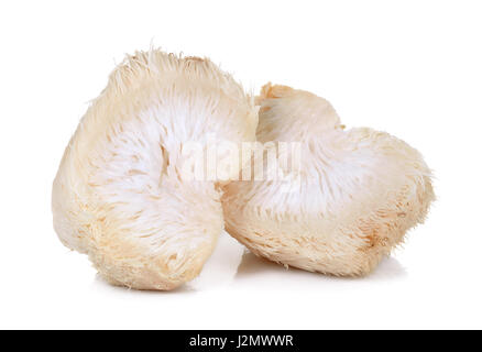 Crinière de lion champignon isolé sur fond blanc. Banque D'Images