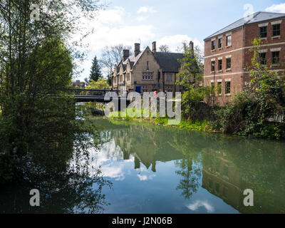 Château Mill Stream, Oxford, Oxfordshire, England, UK, FR. Banque D'Images