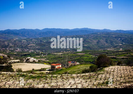 Vignobles et terres agricoles avec les montagnes Troodos en toile de fond, Paphos, Chypre. Banque D'Images