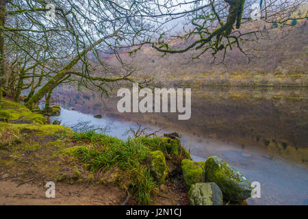 Alongh les paysages des rives du Loch Ness, un grand, profond, le loch d'eau douce dans les Highlands écossais au sud-ouest d'Inverness. Banque D'Images