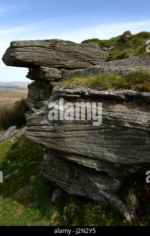 Les strates avec des avions dans les affleurements de grès grossier,rock / millstone grit sur la face abrupte de la vallée de Swansea Banque D'Images