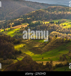 Prairies de montagne à l'automne, éclairé par la lumière divine, Radocelo mountain, Serbie centrale Banque D'Images