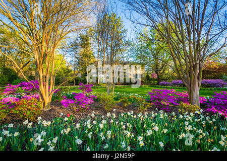 Des fleurs colorées et les arbres à Sherwood Gardens Park à Guilford, Baltimore, Maryland. Banque D'Images