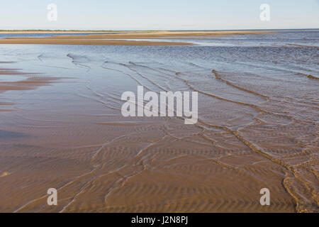 Dans les eaux peu profondes du fleuve Lena Banque D'Images