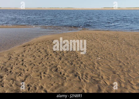 Dans les eaux peu profondes du fleuve Lena Banque D'Images