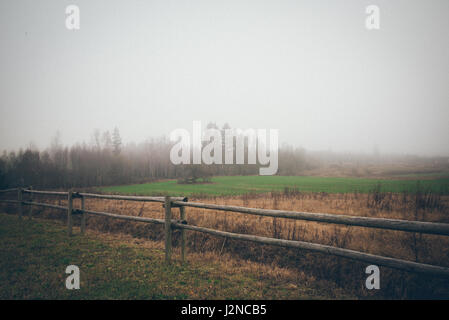 Beau pré vert dans le brouillard lourd avec arbres solitaires. Photographie Vintage rétro couleur effet.granuleuse du film. Banque D'Images