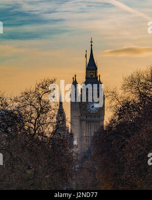 Big Ben au crépuscule en hiver à travers les arbres Banque D'Images