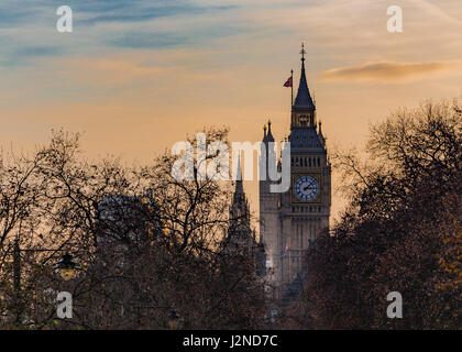 Big Ben au crépuscule en hiver à travers les arbres Banque D'Images