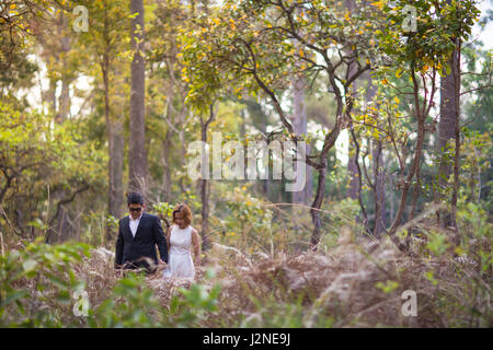 Un couple en tenue habillée robe blanche et costume noir romance dans la forêt de pins avant mariage, Thaïlande Banque D'Images