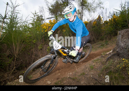 Dunkeld, Perthshire, Écosse, Royaume-Uni. 29 avril 2017. Vtt concurrents prenant part à la 2017 Enduro de Dunkeld, une série de 5 étapes de descente autour de Dunkeld &copier ; Cameron Cormack Banque D'Images