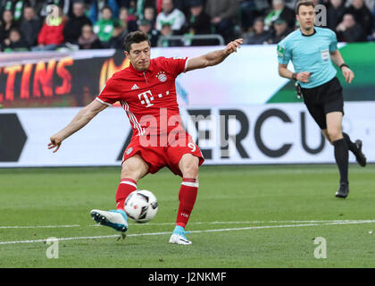 Wolfsburg, Allemagne. Apr 29, 2017. Le Bayern de Munich, Robert Lewandowski scores au cours du match de Bundesliga allemande entre VfL Wolfsburg et le Bayern de Munich à Wolfsburg, Allemagne, le 29 avril 2017. Le Bayern Munich a gagné 6-0 pour décrocher son cinquième titre Bundeslisga d'avance à la 31e tour le samedi. Credit : Shan Yuqi/Xinhua/Alamy Live News Banque D'Images