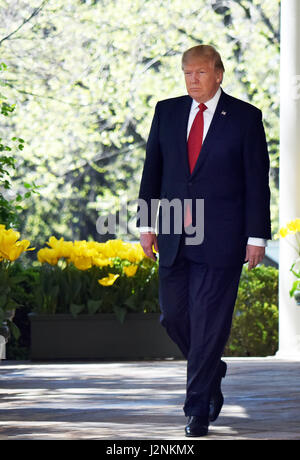 Washington, USA. Apr 29, 2017. Photo prise le 10 avril 2017 montre le président américain Donald Trump marcher hors de la Bureau ovale de la Maison Blanche à Washington, DC, aux Etats-Unis. Le 29 avril 2017 marque le 100e jour de l'atout de Donald's office comme le 45e président des États-Unis. Credit : Yin Bogu/Xinhua/Alamy Live News Banque D'Images