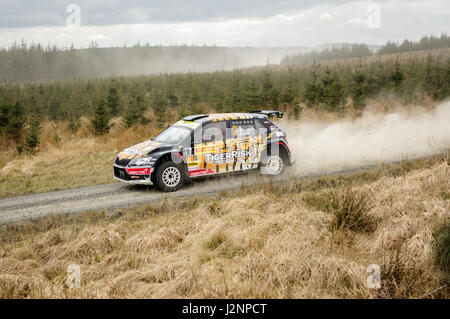 Wark, UK - Avril 29, 2017 : voiture rallye prenant part au rallye international Pirelli 2017 (BRC). Martin McCormack et Co-Driver David Moynihan dans une Peugeot 207 R5. Credit : ColobusYeti/Alamy Live News. Banque D'Images