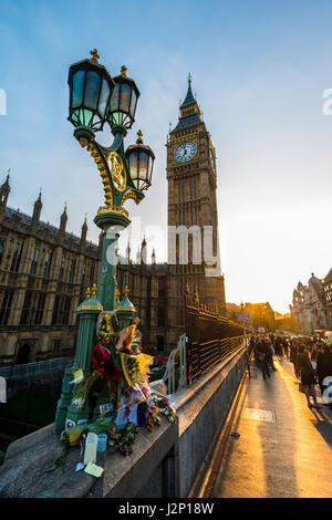 Big Ben et fleurs commémorant l'attentat terroriste contre le pont de Westminster, rétroéclairé, lumière du soir, City of Westminster, London Banque D'Images