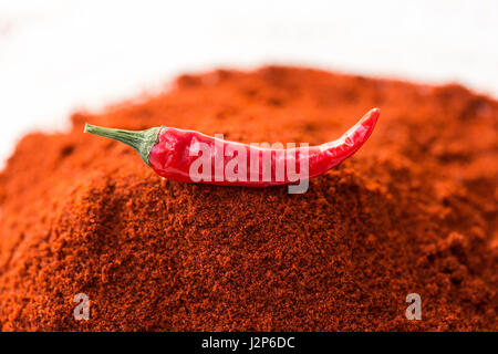 Red hot chili pepper, concept d'épice populaire - pod de juteux délicieux poivron rouge piment est isolé sur le dessus de la poudre de curry rouge séché au sol, mélange indien célèbre. Banque D'Images