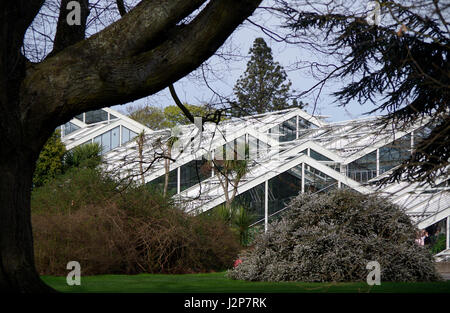 Princess of Wales conservatory, Kew Gardens, Londres, Angleterre Banque D'Images