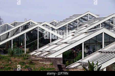 Princess of Wales conservatory, Kew Gardens, Londres, Angleterre Banque D'Images