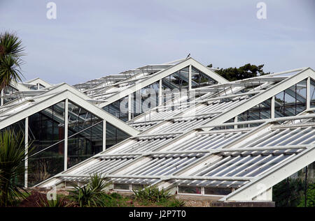 Princess of Wales conservatory, Kew Gardens, Londres, Angleterre Banque D'Images