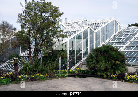 Princess of Wales conservatory, Kew Gardens, Londres, Angleterre Banque D'Images