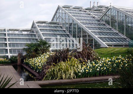 Princess of Wales conservatory, Kew Gardens, Londres, Angleterre Banque D'Images