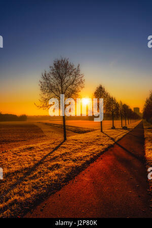 Glorieux d'or scenic épique automne misty morning sunrise avec une allée le long d'une piste cyclable avec ciel bleu et un soleil éclatant dans un paysage rural Banque D'Images